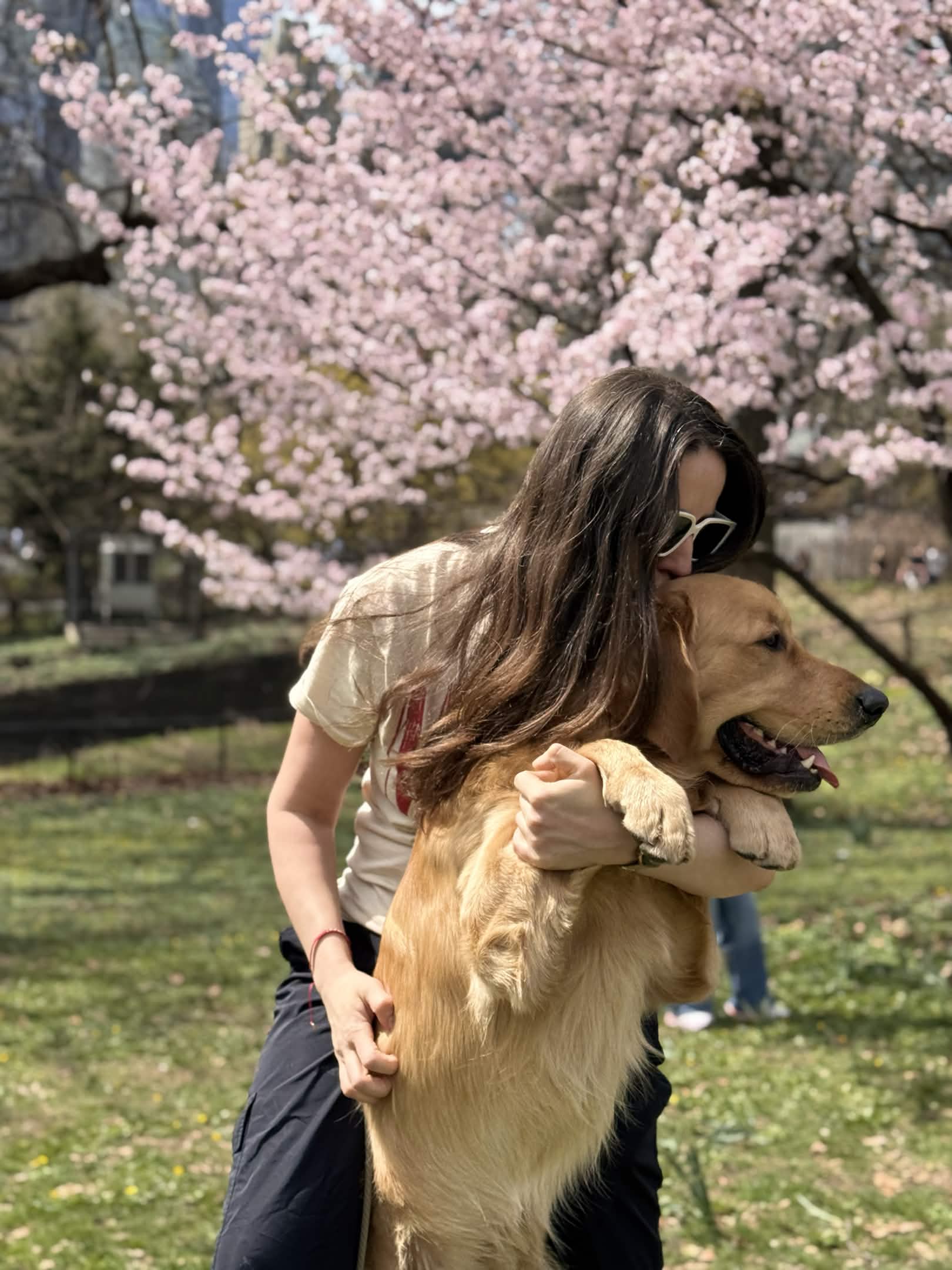 Lucky the Golden Retriever NYC — The day I explored Central Park like a real detective (Washington Monument edition)